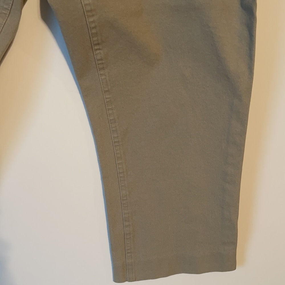 ALFANI Capris - Picture 7 of 14